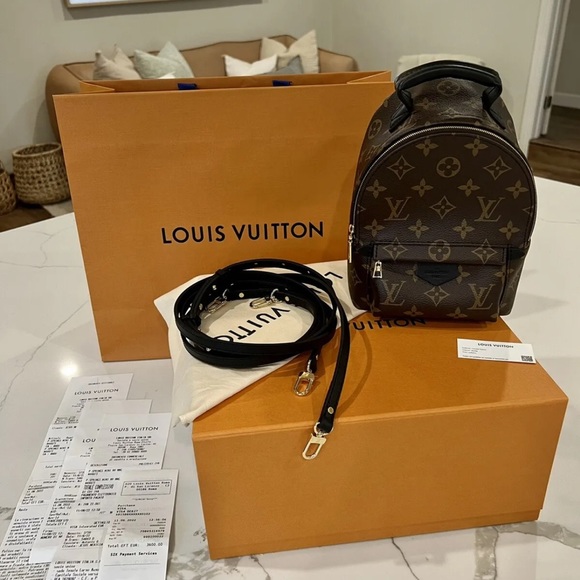 Louis vuitton Palm spring mini - Picture 1 of 7